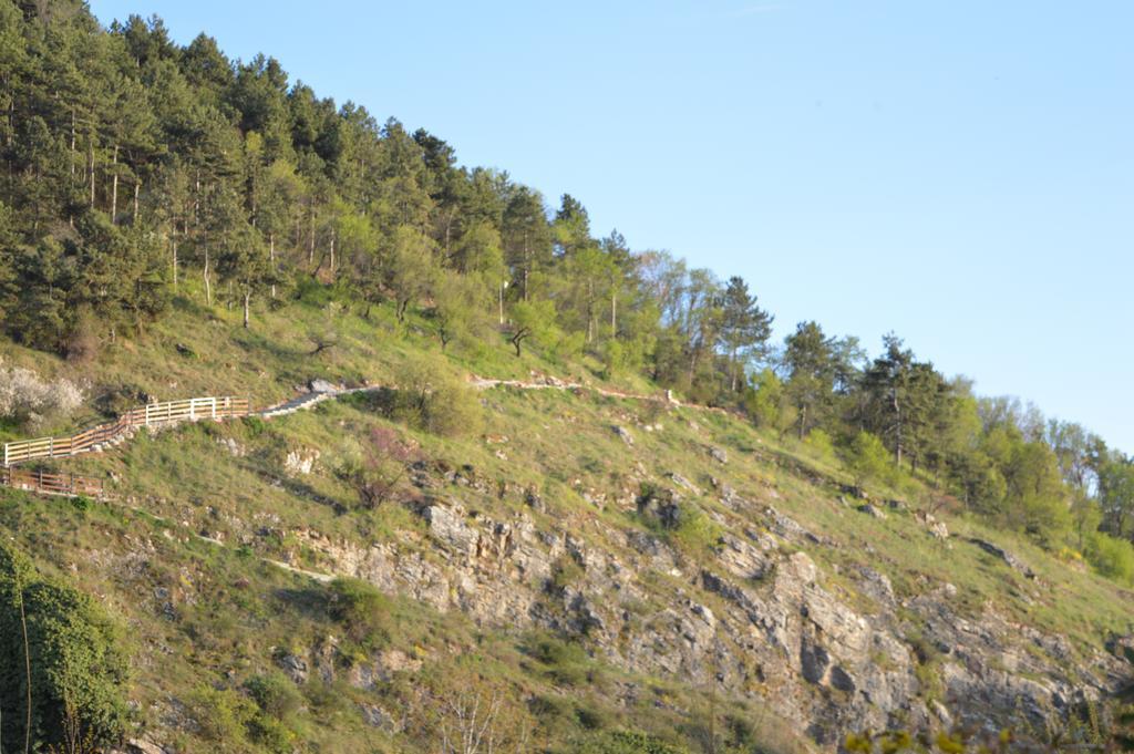 Vila Sara Ohrid Luaran gambar